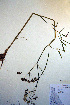  ( - CCDB-18321-E4)  @11 [ ] CreativeCommons - Attribution Non-Commercial Share-Alike (2012) CBG Photography Group Unspecified