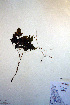  ( - CCDB-18321-B5)  @11 [ ] CreativeCommons - Attribution Non-Commercial Share-Alike (2012) CBG Photography Group Unspecified
