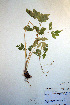  ( - CCDB-18321-H6)  @11 [ ] CreativeCommons - Attribution Non-Commercial Share-Alike (2012) CBG Photography Group Unspecified