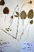  ( - CCDB-18321-D6)  @11 [ ] CreativeCommons - Attribution Non-Commercial Share-Alike (2012) CBG Photography Group Unspecified