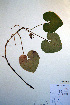  ( - CCDB-18321-C7)  @11 [ ] CreativeCommons - Attribution Non-Commercial Share-Alike (2012) CBG Photography Group Unspecified