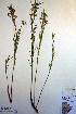  ( - CCDB-18321-A7)  @11 [ ] CreativeCommons - Attribution Non-Commercial Share-Alike (2012) CBG Photography Group Unspecified