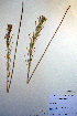  ( - CCDB-18321-H8)  @11 [ ] CreativeCommons - Attribution Non-Commercial Share-Alike (2012) CBG Photography Group Unspecified