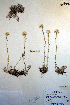  ( - CCDB-18321-B12)  @13 [ ] CreativeCommons - Attribution Non-Commercial Share-Alike (2012) CBG Photography Group Unspecified