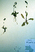  ( - CCDB-18323-F6)  @11 [ ] CreativeCommons - Attribution Non-Commercial Share-Alike (2012) CBG Photography Group Unspecified