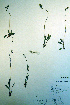 ( - CCDB-18323-E6)  @11 [ ] CreativeCommons - Attribution Non-Commercial Share-Alike (2012) CBG Photography Group Unspecified