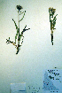  ( - CCDB-18323-A9)  @11 [ ] CreativeCommons - Attribution Non-Commercial Share-Alike (2012) CBG Photography Group Unspecified