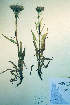  ( - CCDB-18323-H10)  @11 [ ] CreativeCommons - Attribution Non-Commercial Share-Alike (2012) CBG Photography Group Unspecified