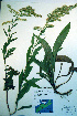  ( - CCDB-18323-F12)  @11 [ ] CreativeCommons - Attribution Non-Commercial Share-Alike (2012) CBG Photography Group Unspecified