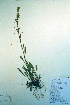  ( - CCDB-18324-C1)  @11 [ ] CreativeCommons - Attribution Non-Commercial Share-Alike (2012) CBG Photography Group Unspecified