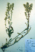  ( - CCDB-18324-B1)  @11 [ ] CreativeCommons - Attribution Non-Commercial Share-Alike (2012) CBG Photography Group Unspecified