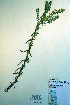  ( - CCDB-18324-C3)  @11 [ ] CreativeCommons - Attribution Non-Commercial Share-Alike (2012) CBG Photography Group Unspecified