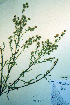  ( - CCDB-18324-B3)  @11 [ ] CreativeCommons - Attribution Non-Commercial Share-Alike (2012) CBG Photography Group Unspecified