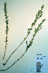  ( - CCDB-18324-H4)  @11 [ ] CreativeCommons - Attribution Non-Commercial Share-Alike (2012) CBG Photography Group Unspecified