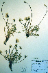 ( - CCDB-18324-C7)  @11 [ ] CreativeCommons - Attribution Non-Commercial Share-Alike (2012) CBG Photography Group Unspecified