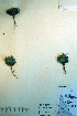  ( - CCDB-18324-C9)  @11 [ ] CreativeCommons - Attribution Non-Commercial Share-Alike (2012) CBG Photography Group Unspecified