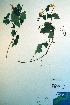  ( - CCDB-18324-H11)  @11 [ ] CreativeCommons - Attribution Non-Commercial Share-Alike (2012) CBG Photography Group Unspecified