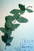  ( - CCDB-18325-G1)  @11 [ ] CreativeCommons - Attribution Non-Commercial Share-Alike (2012) CBG Photography Group Unspecified