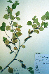  ( - CCDB-18325-E2)  @11 [ ] CreativeCommons - Attribution Non-Commercial Share-Alike (2012) CBG Photography Group Unspecified