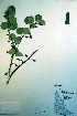  ( - CCDB-18325-D2)  @11 [ ] CreativeCommons - Attribution Non-Commercial Share-Alike (2012) CBG Photography Group Unspecified