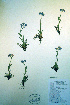  ( - CCDB-18325-E6)  @11 [ ] CreativeCommons - Attribution Non-Commercial Share-Alike (2012) CBG Photography Group Unspecified