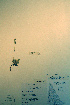  ( - CCDB-18326-A5)  @11 [ ] CreativeCommons - Attribution Non-Commercial Share-Alike (2012) CBG Photography Group Unspecified