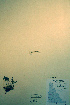  ( - CCDB-18326-F6)  @11 [ ] CreativeCommons - Attribution Non-Commercial Share-Alike (2012) CBG Photography Group Unspecified