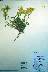  ( - CCDB-18326-E10)  @11 [ ] CreativeCommons - Attribution Non-Commercial Share-Alike (2012) CBG Photography Group Unspecified