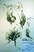  ( - CCDB-18327-D11)  @11 [ ] CreativeCommons - Attribution Non-Commercial Share-Alike (2012) CBG Photography Group Unspecified