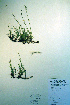  ( - CCDB-18327-C11)  @11 [ ] CreativeCommons - Attribution Non-Commercial Share-Alike (2012) CBG Photography Group Unspecified