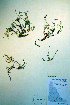  ( - CCDB-18327-E12)  @11 [ ] CreativeCommons - Attribution Non-Commercial Share-Alike (2012) CBG Photography Group Unspecified
