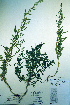  ( - CCDB-18328-D9)  @11 [ ] CreativeCommons - Attribution Non-Commercial Share-Alike (2012) CBG Photography Group Unspecified