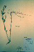  ( - CCDB-18328-E10)  @11 [ ] CreativeCommons - Attribution Non-Commercial Share-Alike (2012) CBG Photography Group Unspecified