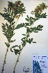  ( - CCDB-18330-E1)  @11 [ ] CreativeCommons - Attribution Non-Commercial Share-Alike (2012) CBG Photography Group Unspecified