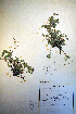  ( - CCDB-18330-D3)  @11 [ ] CreativeCommons - Attribution Non-Commercial Share-Alike (2012) CBG Photography Group Unspecified