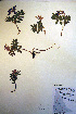  ( - CCDB-18330-B4)  @11 [ ] CreativeCommons - Attribution Non-Commercial Share-Alike (2012) CBG Photography Group Unspecified