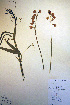  ( - CCDB-18330-A4)  @11 [ ] CreativeCommons - Attribution Non-Commercial Share-Alike (2012) CBG Photography Group Unspecified
