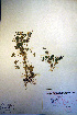  ( - CCDB-18330-A5)  @11 [ ] CreativeCommons - Attribution Non-Commercial Share-Alike (2012) CBG Photography Group Unspecified
