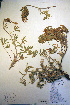  ( - CCDB-18330-E6)  @11 [ ] CreativeCommons - Attribution Non-Commercial Share-Alike (2012) CBG Photography Group Unspecified