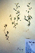  ( - CCDB-18330-E7)  @11 [ ] CreativeCommons - Attribution Non-Commercial Share-Alike (2012) CBG Photography Group Unspecified