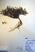  ( - CCDB-18330-H9)  @11 [ ] CreativeCommons - Attribution Non-Commercial Share-Alike (2012) CBG Photography Group Unspecified
