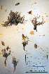  ( - CCDB-18330-A9)  @11 [ ] CreativeCommons - Attribution Non-Commercial Share-Alike (2012) CBG Photography Group Unspecified