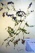  ( - CCDB-18330-B12)  @11 [ ] CreativeCommons - Attribution Non-Commercial Share-Alike (2012) CBG Photography Group Unspecified