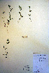  ( - CCDB-18331-E1)  @11 [ ] CreativeCommons - Attribution Non-Commercial Share-Alike (2012) CBG Photography Group Unspecified