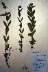  ( - CCDB-18331-D10)  @11 [ ] CreativeCommons - Attribution Non-Commercial Share-Alike (2012) CBG Photography Group Unspecified