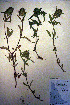  ( - CCDB-18331-B10)  @11 [ ] CreativeCommons - Attribution Non-Commercial Share-Alike (2012) CBG Photography Group Unspecified