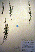  ( - CCDB-18331-B11)  @11 [ ] CreativeCommons - Attribution Non-Commercial Share-Alike (2012) CBG Photography Group Unspecified