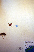  ( - CCDB-18332-G1)  @11 [ ] CreativeCommons - Attribution Non-Commercial Share-Alike (2012) CBG Photography Group Unspecified