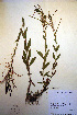  ( - CCDB-18332-B6)  @11 [ ] CreativeCommons - Attribution Non-Commercial Share-Alike (2012) CBG Photography Group Unspecified