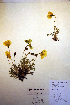  ( - CCDB-18332-E7)  @11 [ ] CreativeCommons - Attribution Non-Commercial Share-Alike (2012) CBG Photography Group Unspecified
